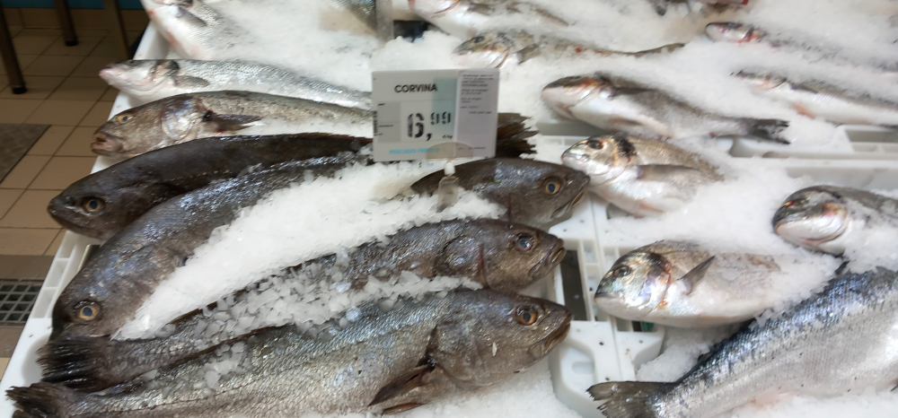 Seafood