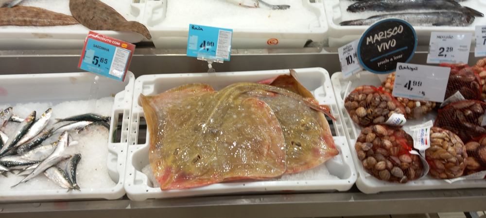 Seafood