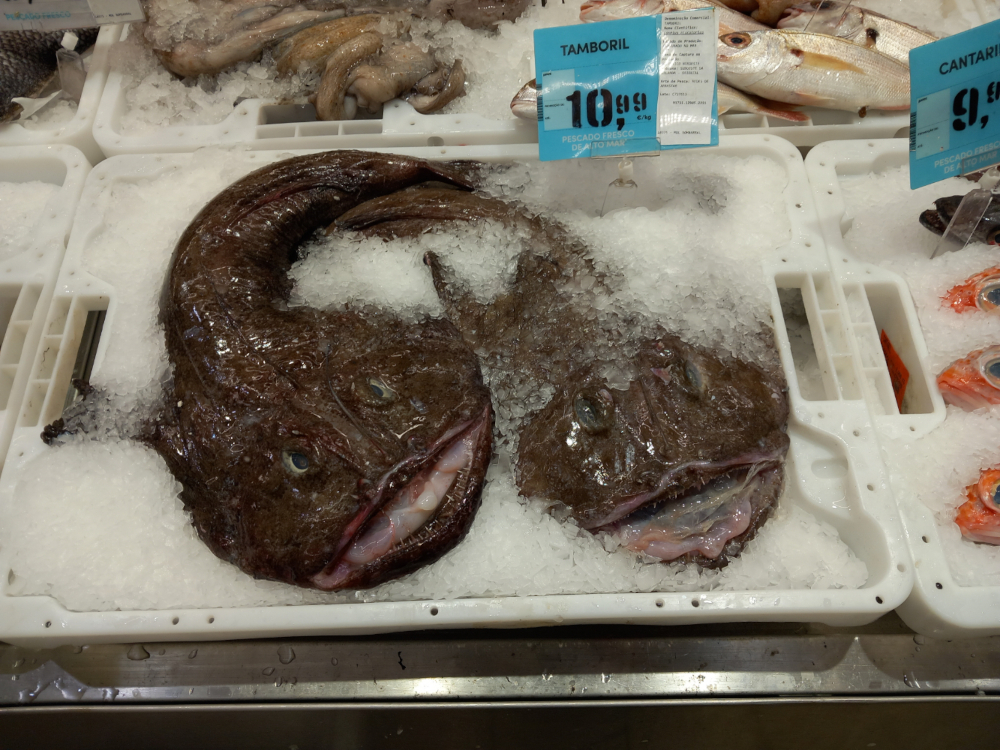 Seafood